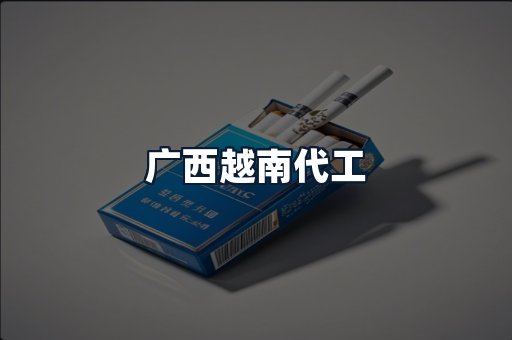 广西越南代工